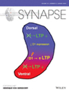 Synapse