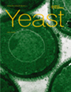 Yeast