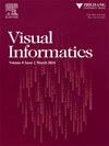 Visual Informatics