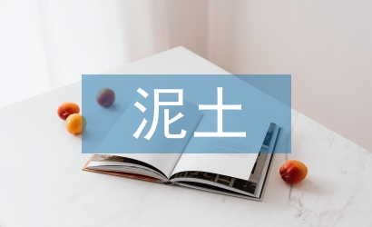 泥土實(shí)訓(xùn)總結(jié)